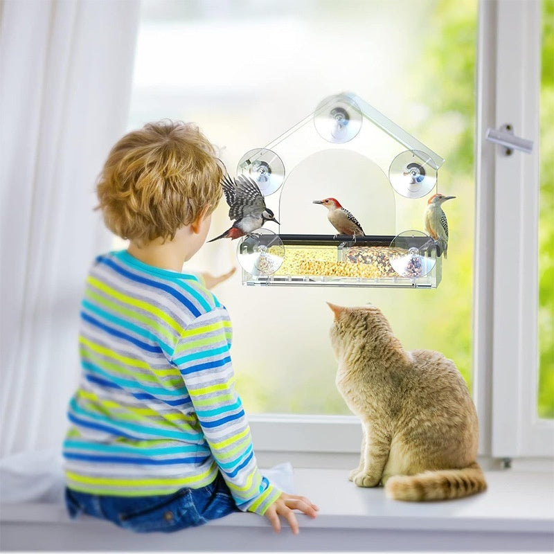 Alimentador de pájaros transparente montado en la pared. Jaula de pájaros acrílica.