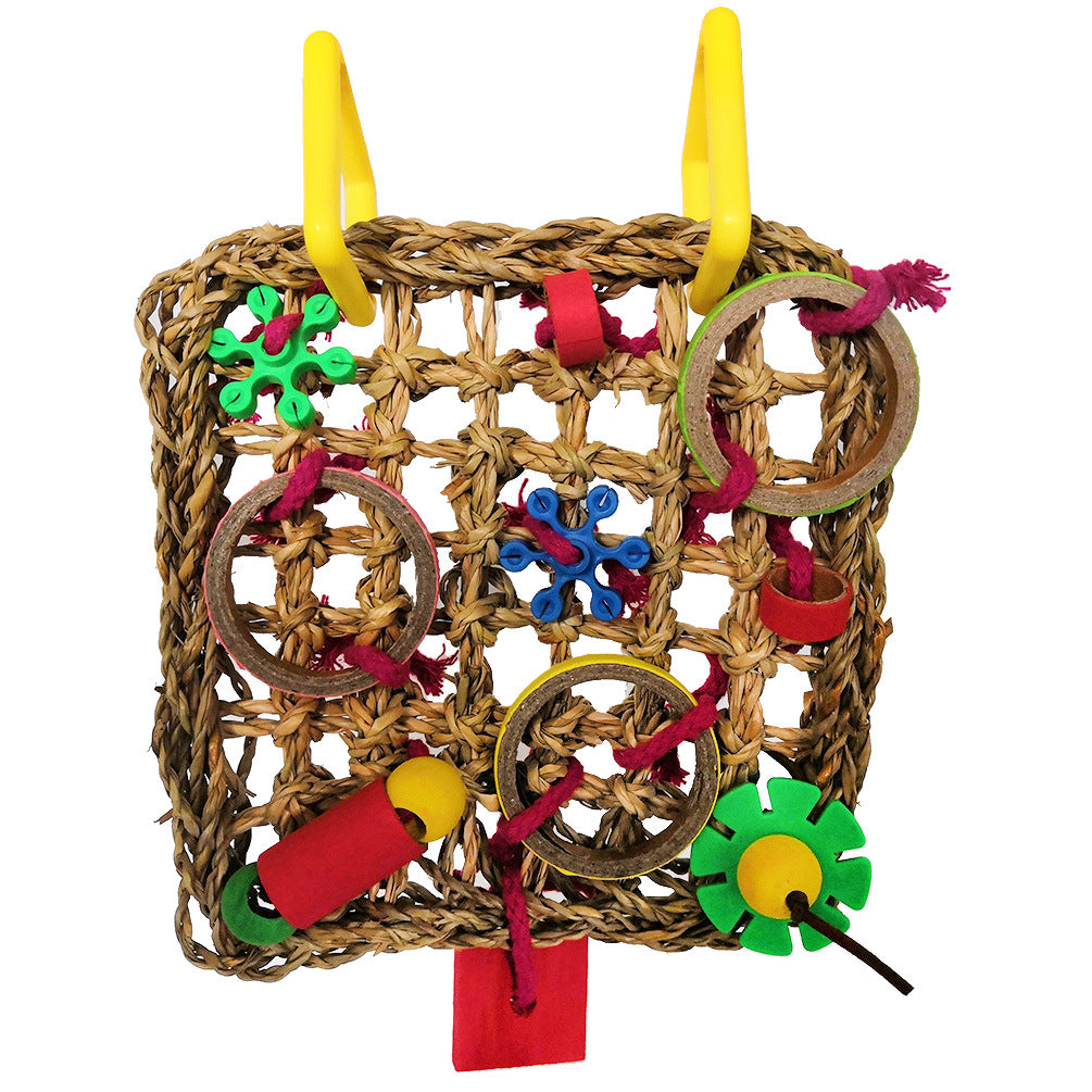 Juguete de loro, bloques de construcción de colores.