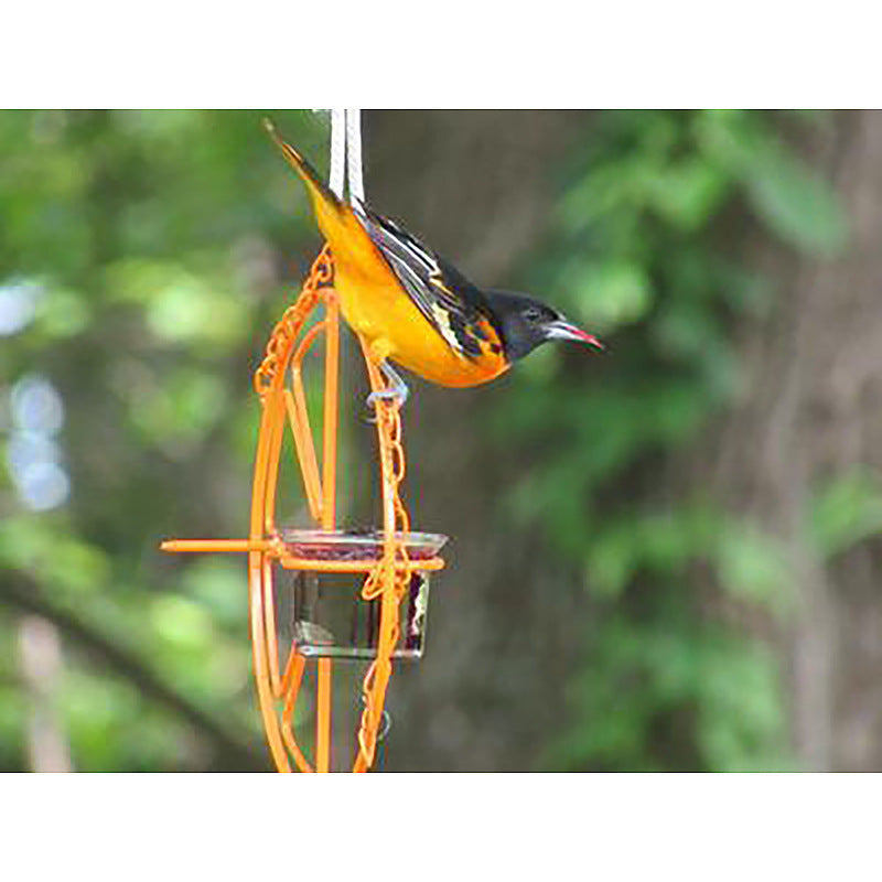 Comedero para pájaros, colgante de Metal para beber, automático y portátil.