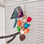 Colgante de jaula de pájaros. Juguete de loro de material natural.