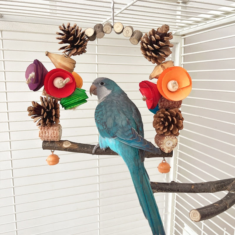 Columpio para loros, nuez de pino, molienda de boca, garra de molienda.