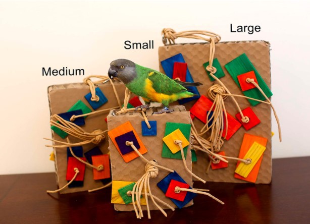 Juguete para loros con bloques de construcción de colores para mordisquear.