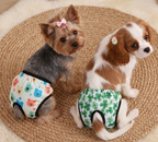 Braguitas para mascotas. Material resistente.