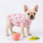 Chaleco de primavera y verano para mascotas. Todas las Tallas
