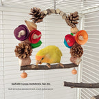 Columpio para loros, nuez de pino, molienda de boca, garra de molienda.