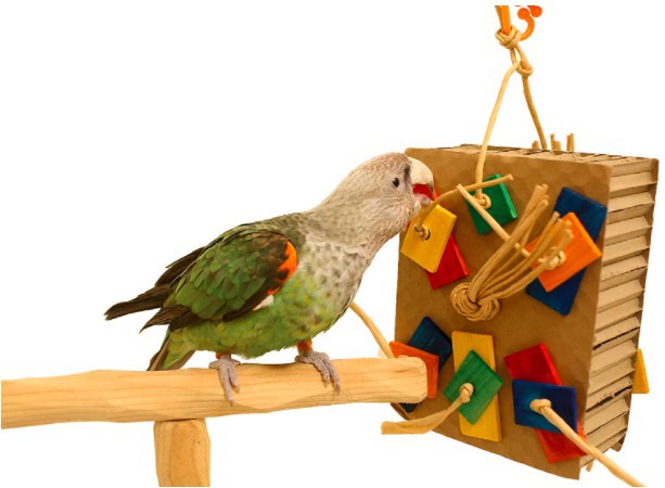 Juguete para loros con bloques de construcción de colores para mordisquear.