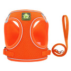 product/2023/4/18/1648151768376414208.jpg