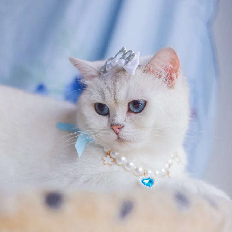 /product/2024/1/29/1751848824017653760.jpg