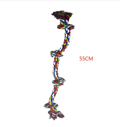 /dsp/20250619/aa90e3fa03584e46ac2ef7b606ad8a7a.jpg