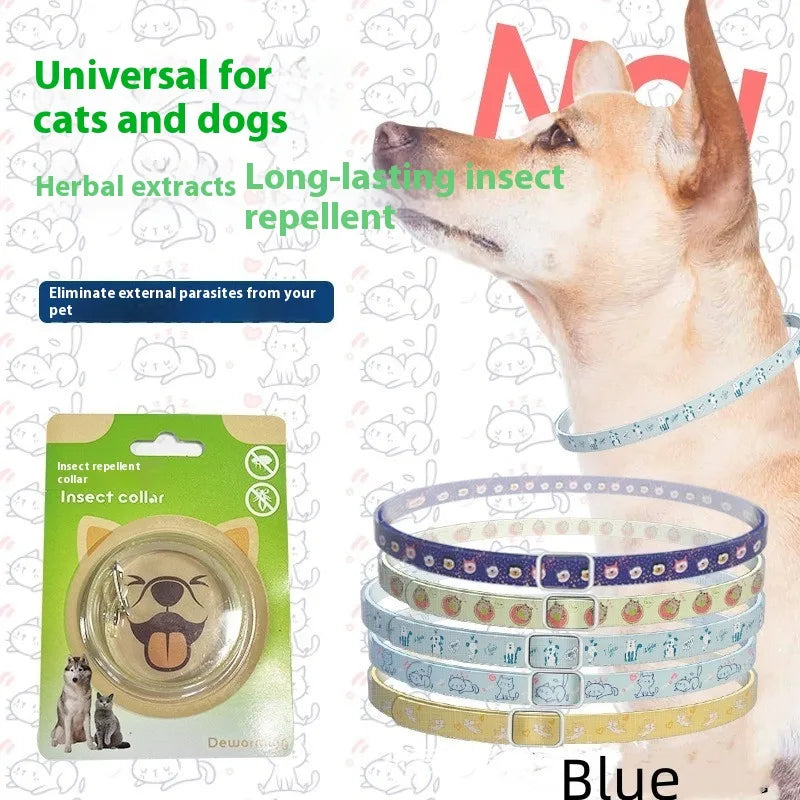 dsp/20250619/02ef70473c984f858b4e7bc5de2f4857.jpeg