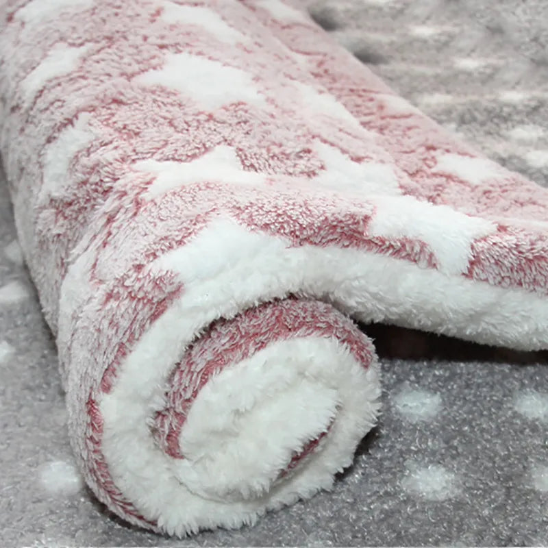 /dsp/20250623/34aefa92c5c746838f046bb76ddf4bb3.jpg