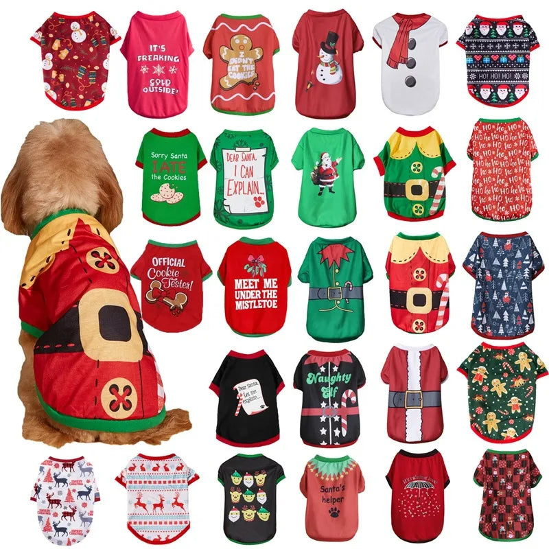 product/2023/11/14/1724315623326093312.jpg