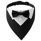 product/2023/11/9/1722422985501052928.jpg