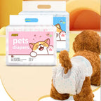 product/2024/9/15/1835154083862941696.png