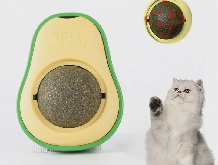 Juguete De Limpieza De Dientes De Gatos