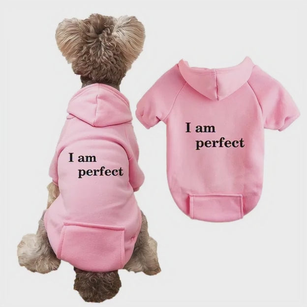 Sudadera con capucha y estampado de letras, para gatos, perros pequeños y medianos.