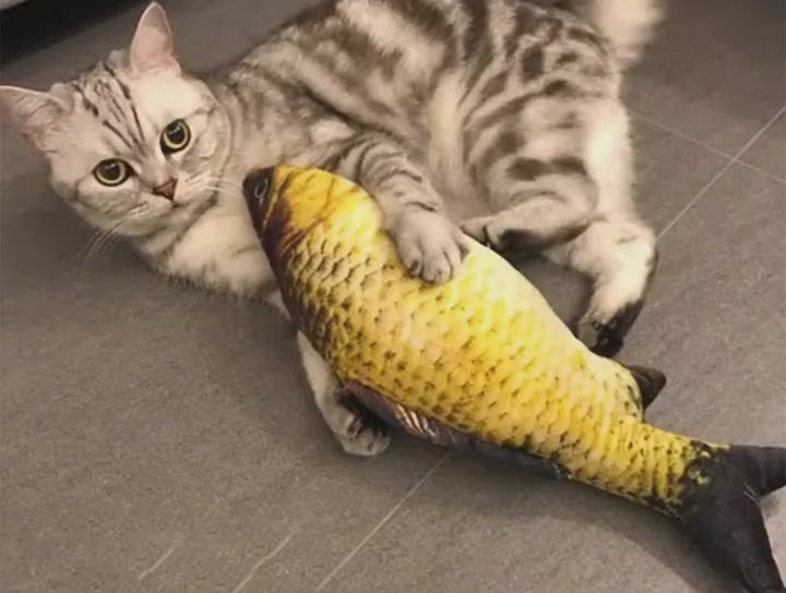 Juguete de gato. Simulador de Pez.
