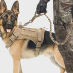 Collar táctico para perros, ideal para entrenamiento de perros medianos y grandes.