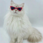 Gafas para Mascotas