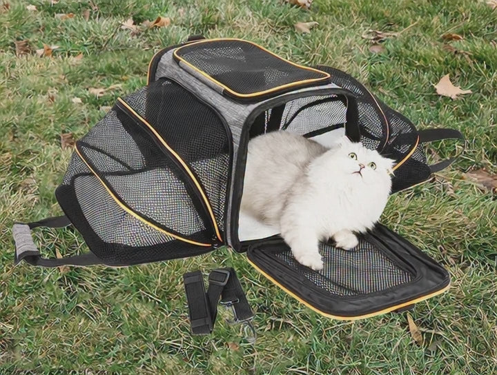 Bolsa de transporte portátil para mascotas, de nailon y con estructura de acero, ideal para salidas y transporte.