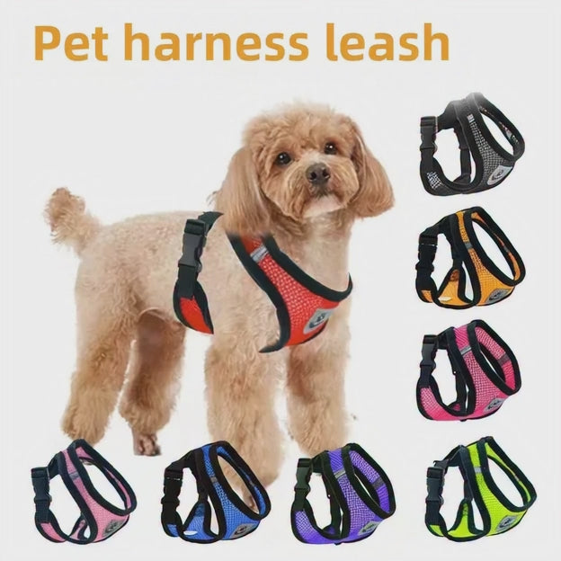 Correa de Pecho para Perros.