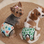 Braguitas para mascotas. Material resistente.