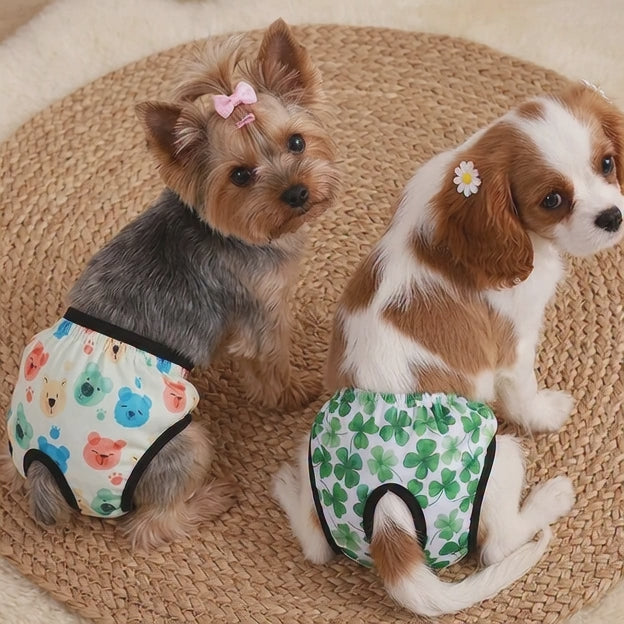 Braguitas para mascotas. Material resistente.