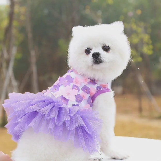 Ropa para mascotas, de mezclilla diseño de princesa.