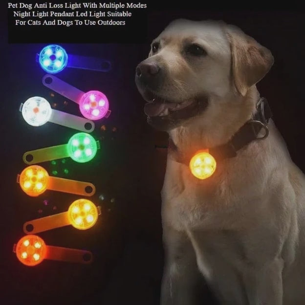 Lámpara LED colgante antipérdida para perros con múltiples modos de luz nocturna.
