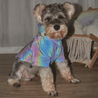Impermeable reflectante de verano para mascotas pequeñas.